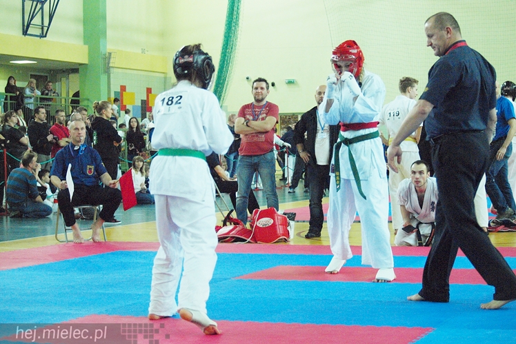 Międzynarodowa obsada mistrzostw karate full-contact