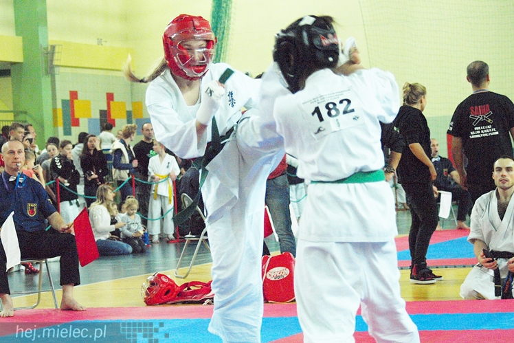 Międzynarodowa obsada mistrzostw karate full-contact