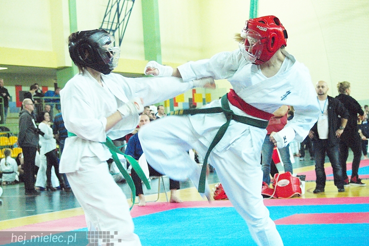 Międzynarodowa obsada mistrzostw karate full-contact