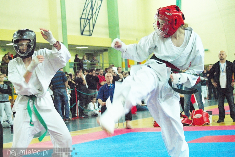 Międzynarodowa obsada mistrzostw karate full-contact