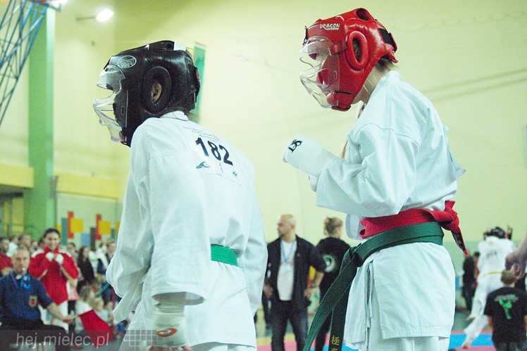 Międzynarodowa obsada mistrzostw karate full-contact
