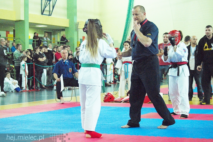 Międzynarodowa obsada mistrzostw karate full-contact