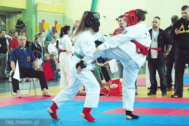 Międzynarodowa obsada mistrzostw karate full-contact