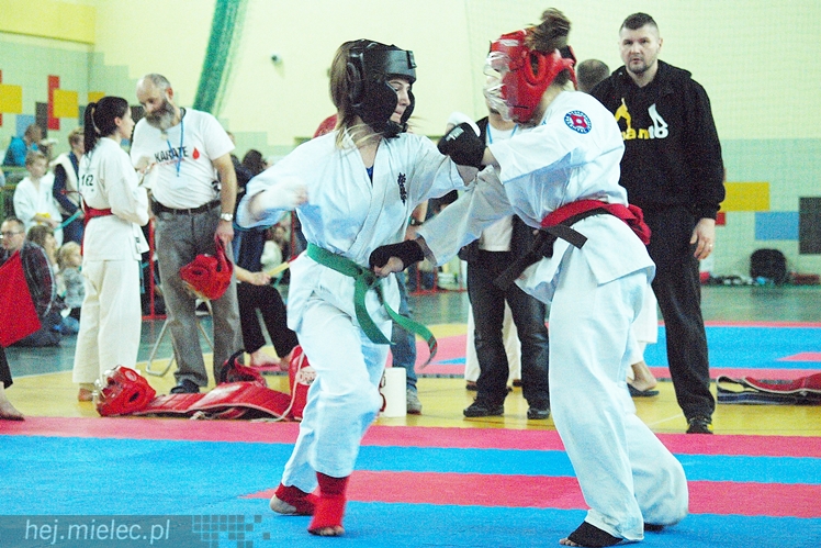 Międzynarodowa obsada mistrzostw karate full-contact