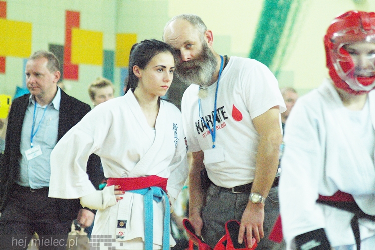 Międzynarodowa obsada mistrzostw karate full-contact