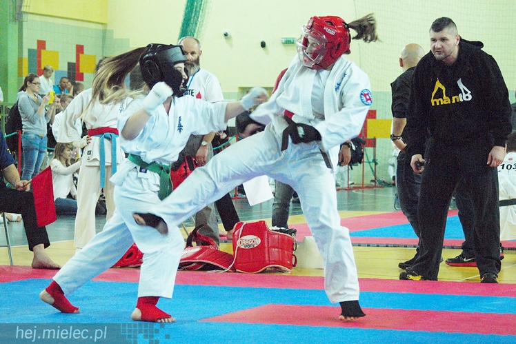 Międzynarodowa obsada mistrzostw karate full-contact