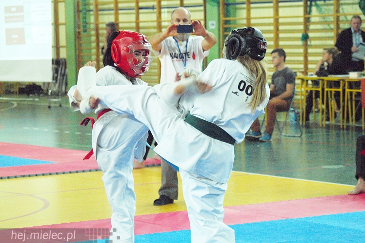 Międzynarodowa obsada mistrzostw karate full-contact