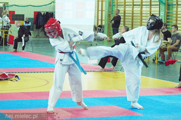 Międzynarodowa obsada mistrzostw karate full-contact