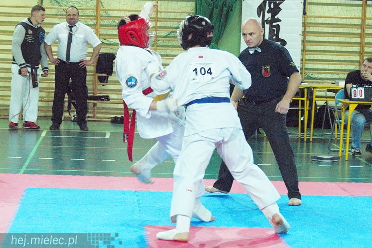 Międzynarodowa obsada mistrzostw karate full-contact