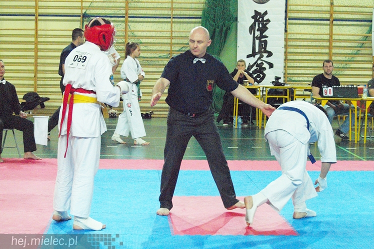 Międzynarodowa obsada mistrzostw karate full-contact