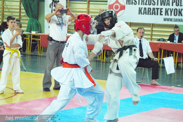 Międzynarodowa obsada mistrzostw karate full-contact
