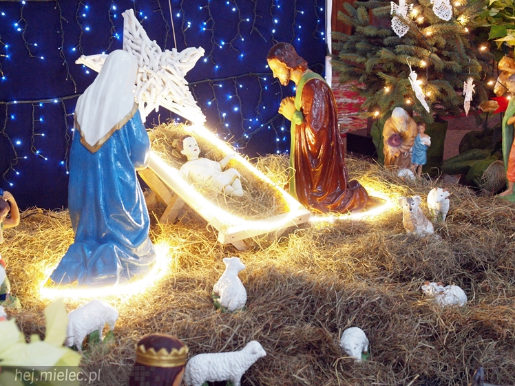 Tradycyjne szopki w mieleckich kościołach. Zobacz jak wyglądają!