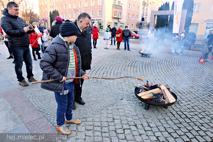Walentynkowe grillowanie na Placu Armii Krajowej