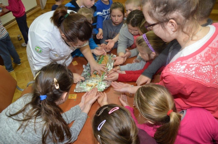 Ferie zimowe 2016 w Gminie Mielec na półmetku