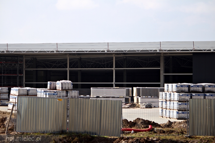 Galeria Aviator - 26 lutego