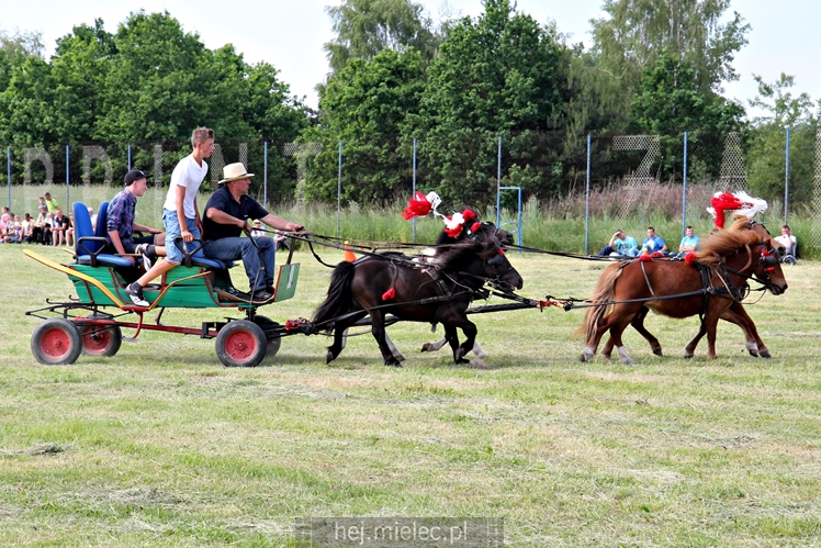 Parada Konna w Żarówce