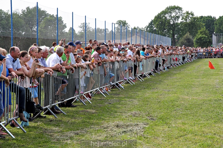 Parada Konna w Żarówce