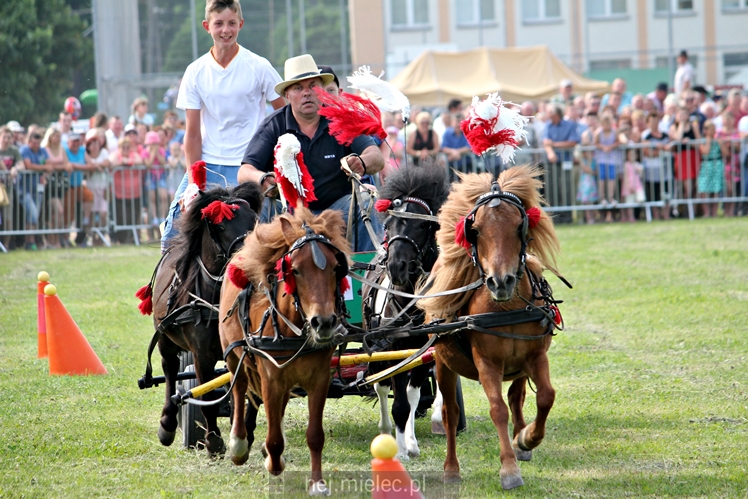 Parada Konna w Żarówce