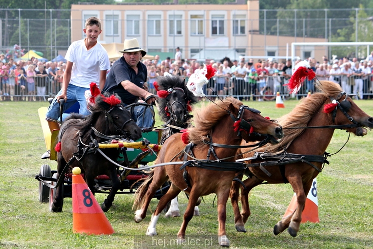 Parada Konna w Żarówce