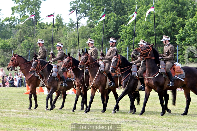 Parada Konna w Żarówce