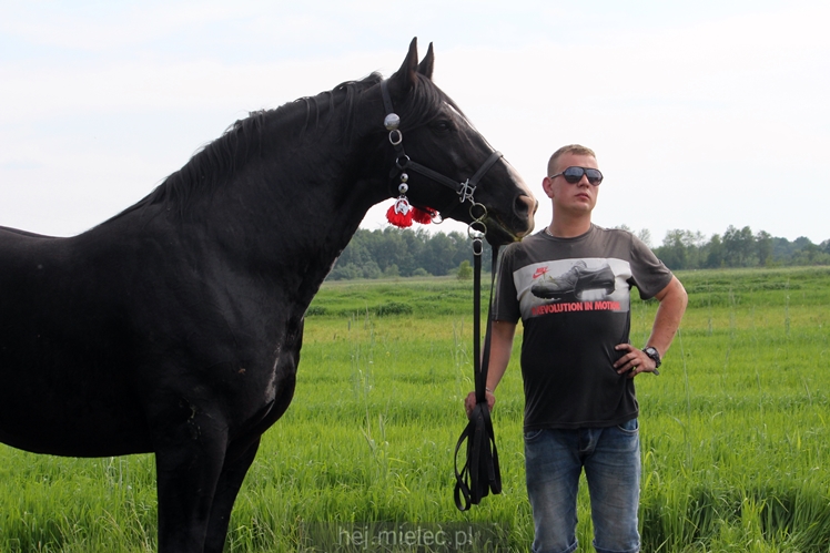 Parada Konna w Żarówce