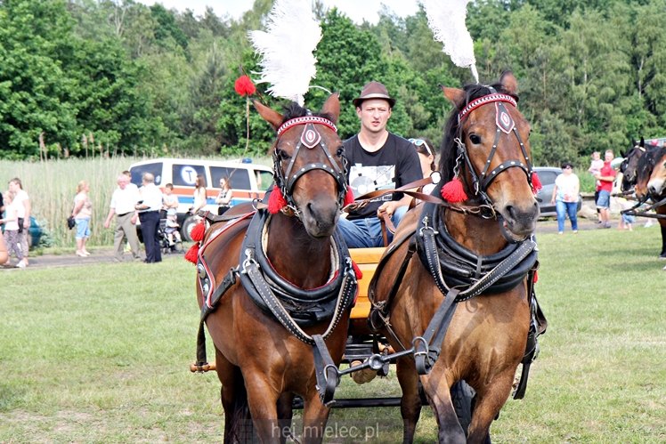 Parada Konna w Żarówce