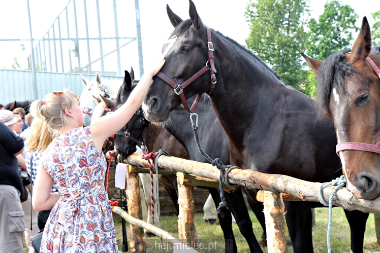 Parada Konna w Żarówce