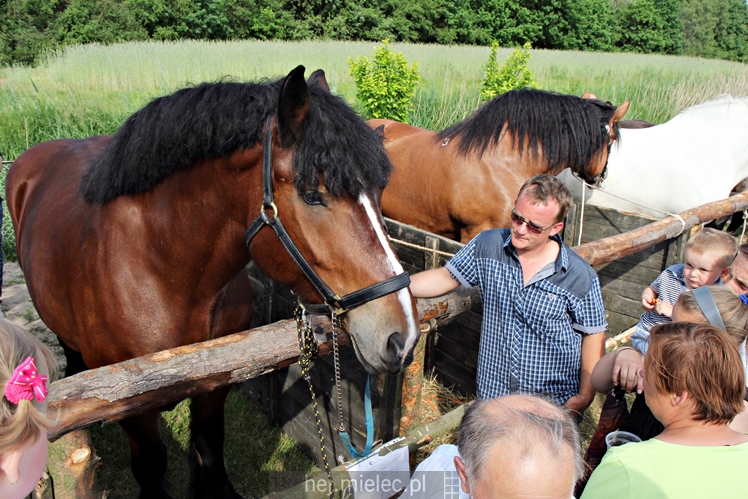 Parada Konna w Żarówce
