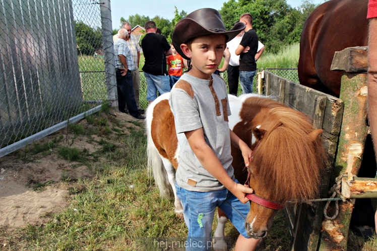 Parada Konna w Żarówce
