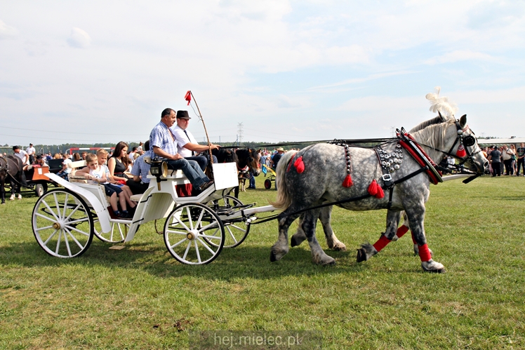 Parada Konna w Żarówce