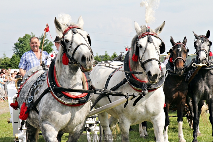 Parada Konna w Żarówce
