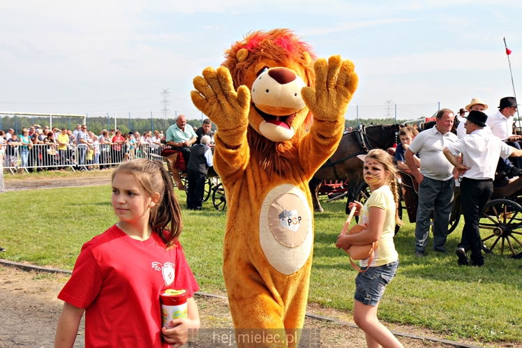 Parada Konna w Żarówce