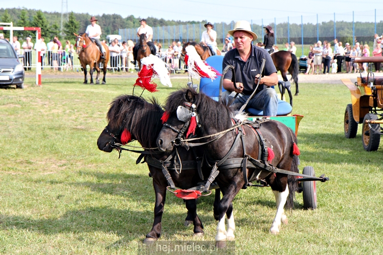 Parada Konna w Żarówce