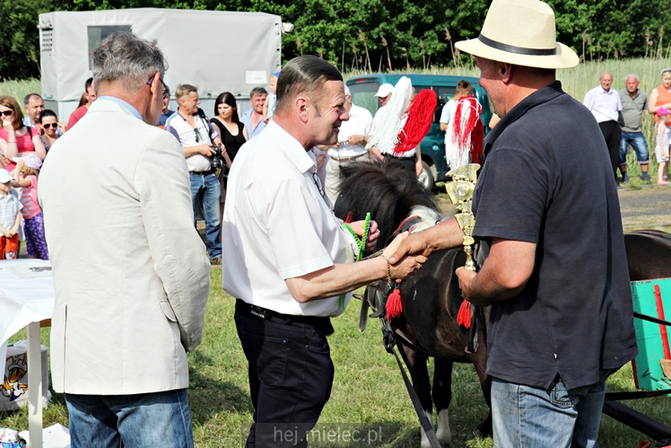 Parada Konna w Żarówce