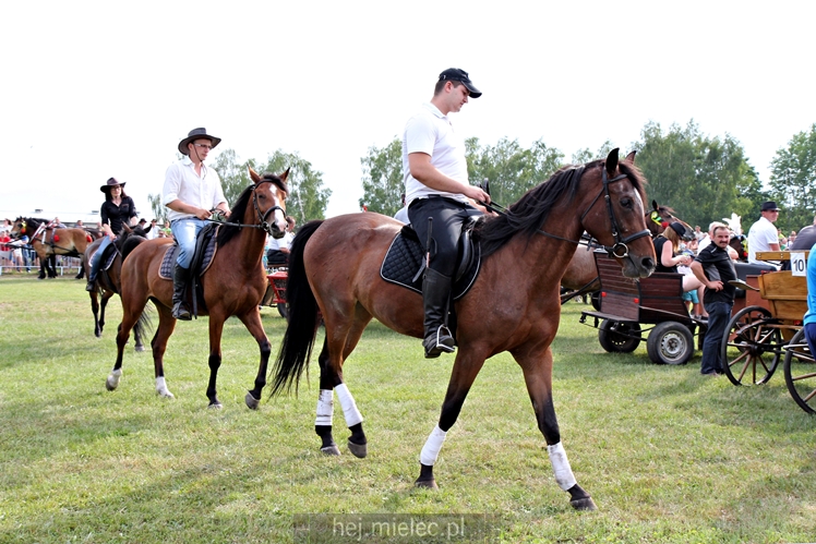 Parada Konna w Żarówce