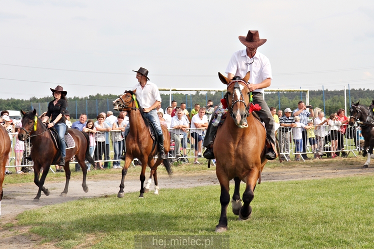 Parada Konna w Żarówce