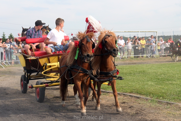 Parada Konna w Żarówce