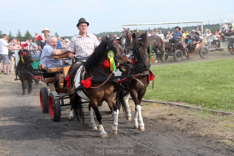 Parada Konna w Żarówce