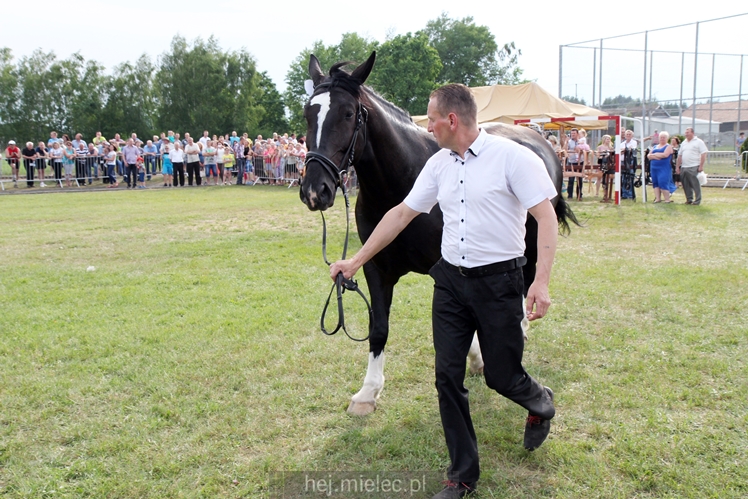 Parada Konna w Żarówce