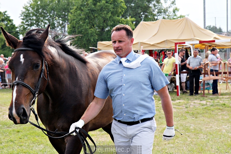 Parada Konna w Żarówce