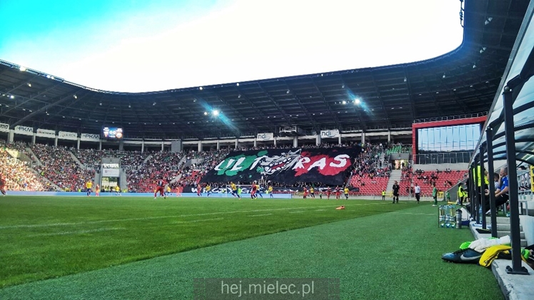 GKS Tychy - FKS Stal Mielec 1:0