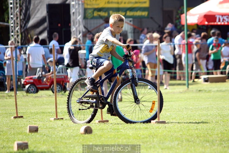 Festyn rodzinny w Maliniu