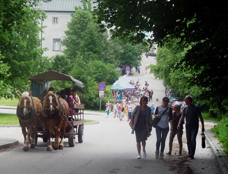 Uczestnicy ŚDS odwiedzili Góry Świętokrzyskie