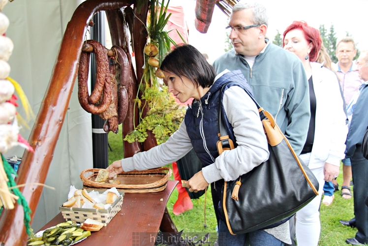 Podkarpacki Dzień Wędliniarza w Radomyślu Wielkim