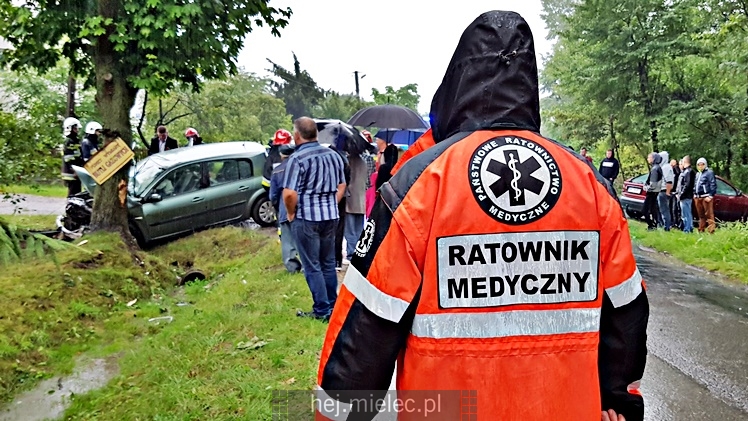 Wypadek w Dulczy Wielkiej. Osobowe renault wpadło w drzewo