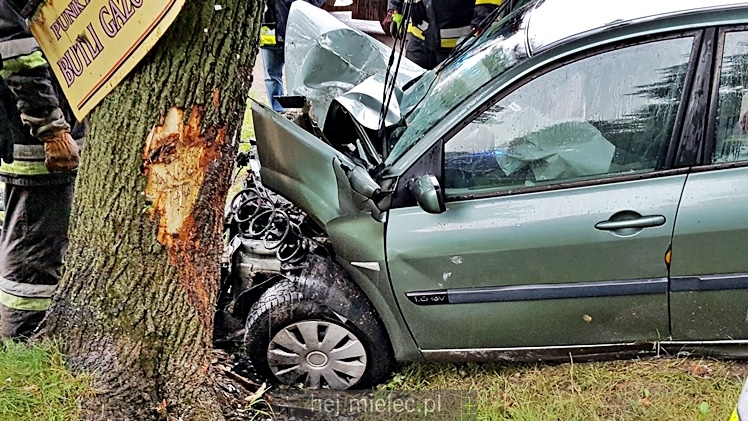Wypadek w Dulczy Wielkiej. Osobowe renault wpadło w drzewo