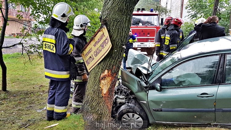 Wypadek w Dulczy Wielkiej. Osobowe renault wpadło w drzewo