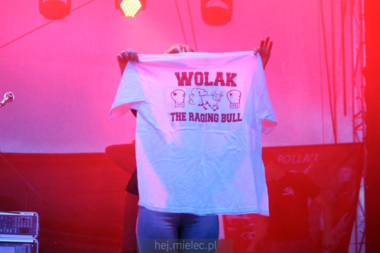 Dni Radomyśla Wielkiego