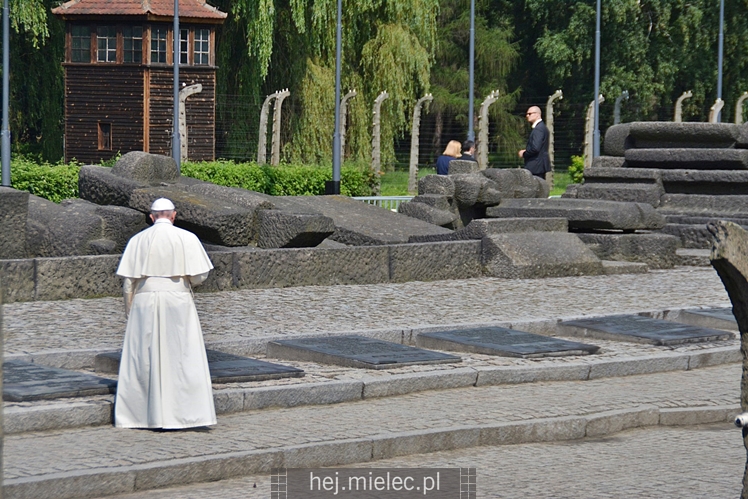 Trwają Światowe Dni Młodzieży z Papieżem Franciszkiem