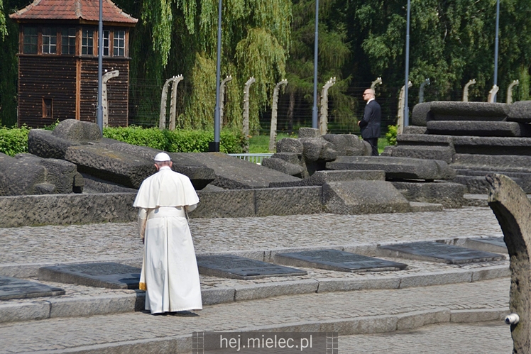 Trwają Światowe Dni Młodzieży z Papieżem Franciszkiem